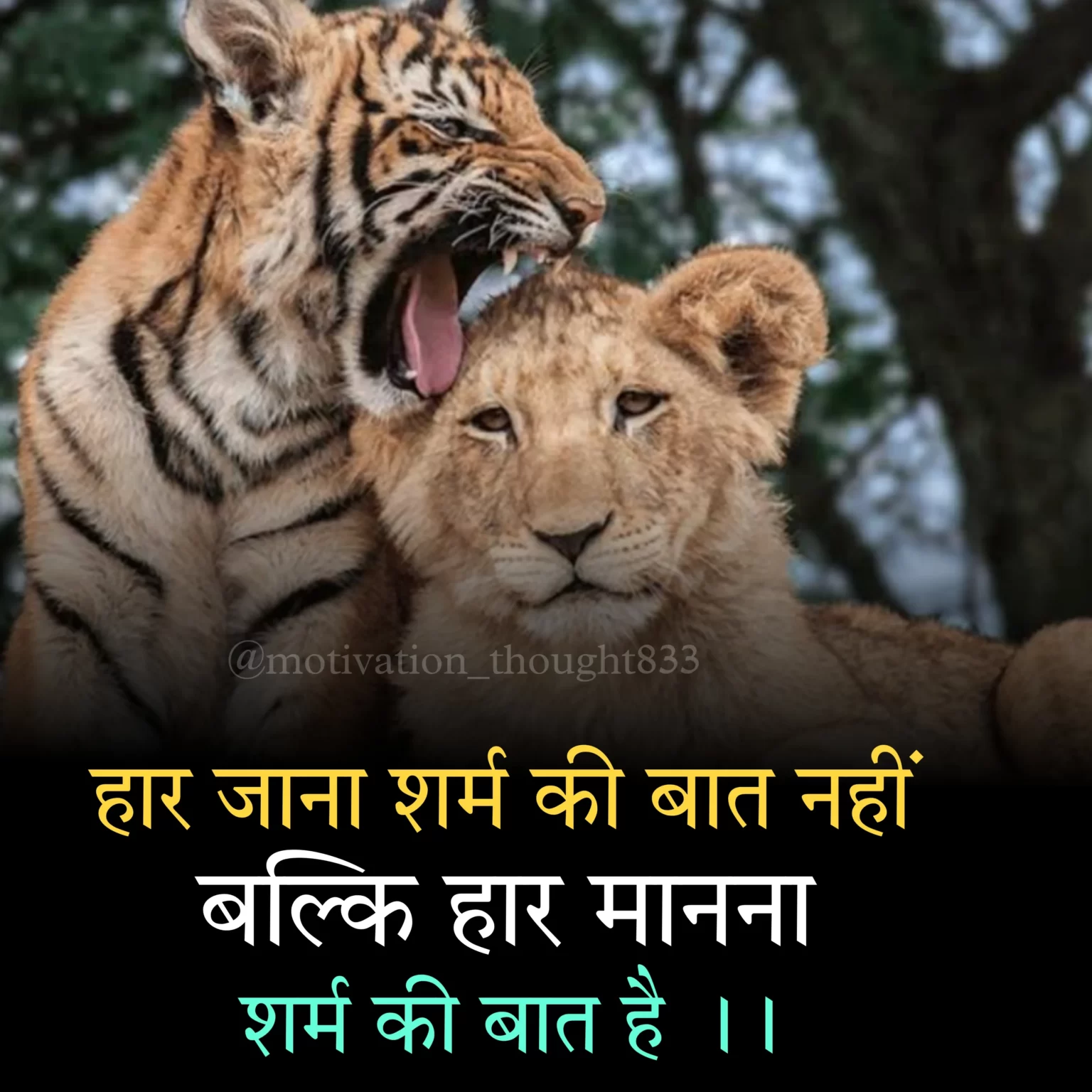 struggle motivational quotes in hindi - 1