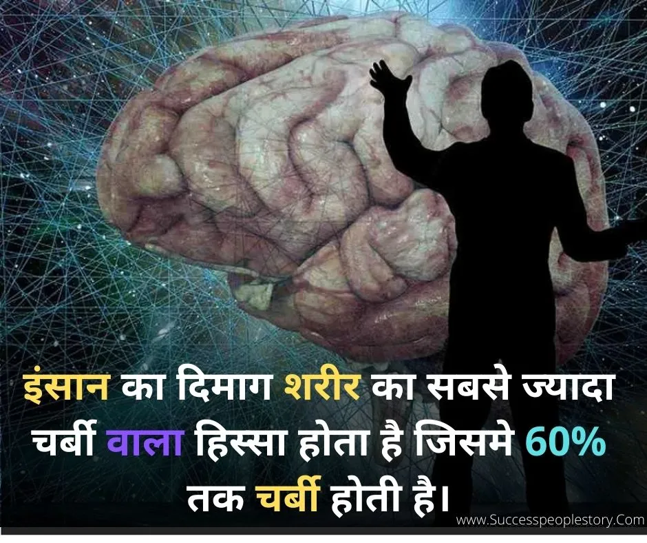 Human-brain-Amazing-GK-Facts-in-Hindi