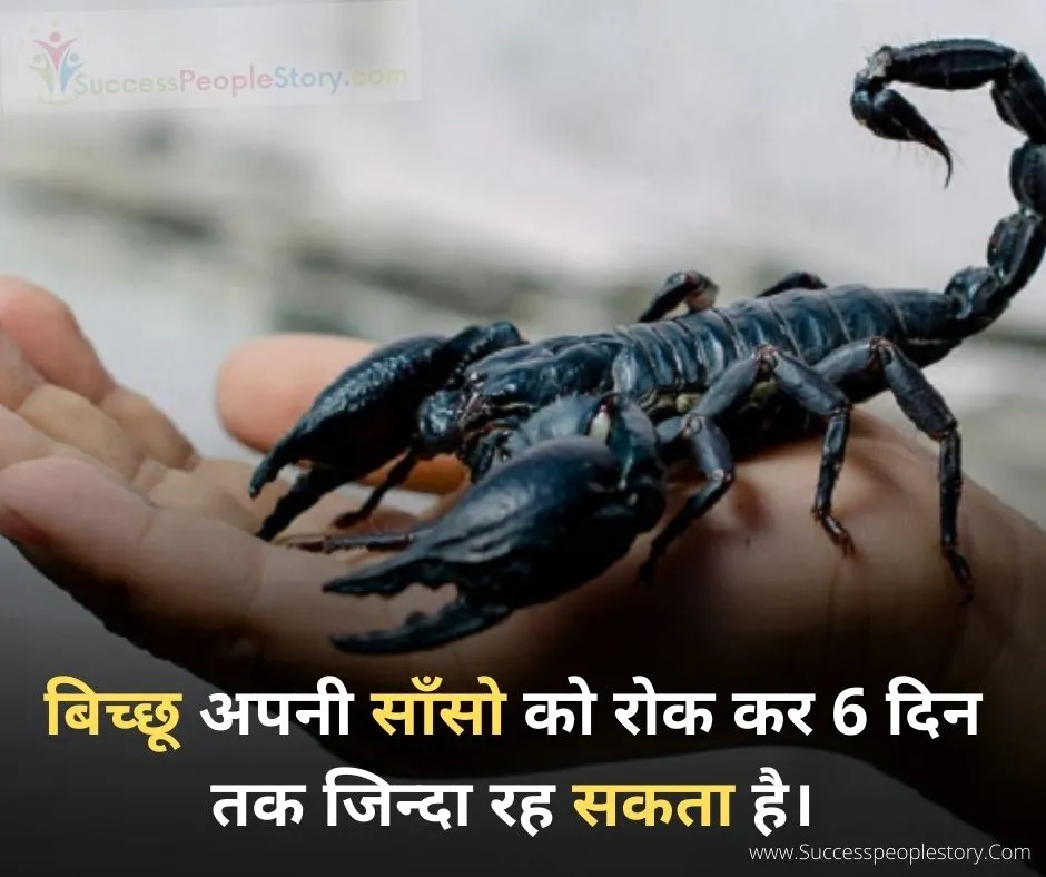 Scorpion-Amazing-GK-Facts-in-Hindi